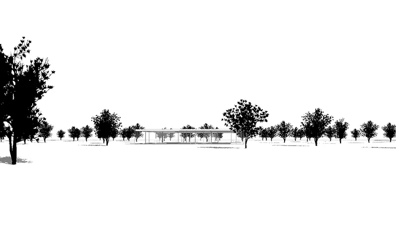 To create natural diversity, combine with other archigrafix trees.