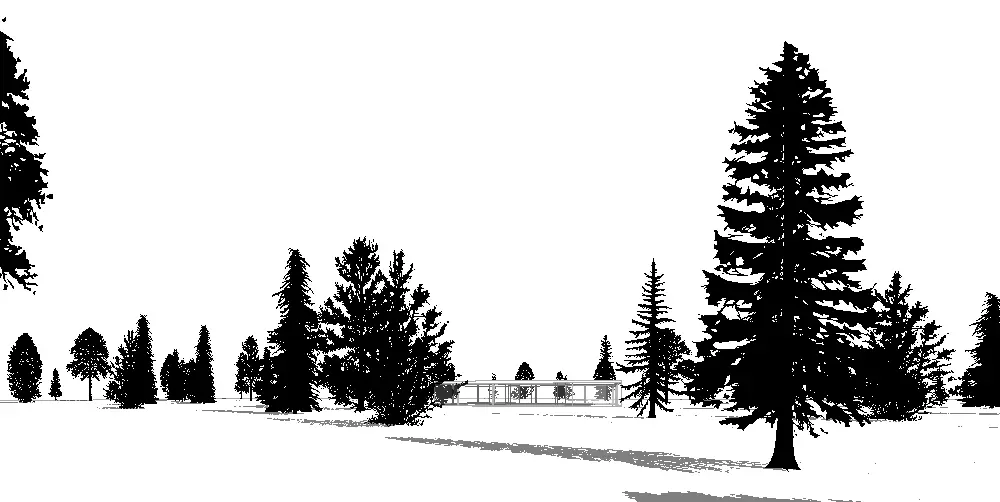  Trees cast shadows over terrain and other objects. Also in elevation and plan drawings.