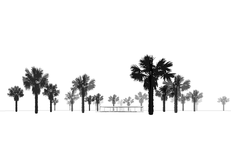 Palmetto for Revit