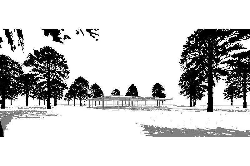 Pitch Pine for Revit
