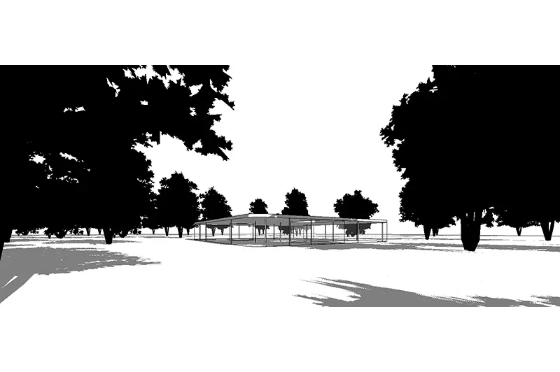 English Yew for Revit