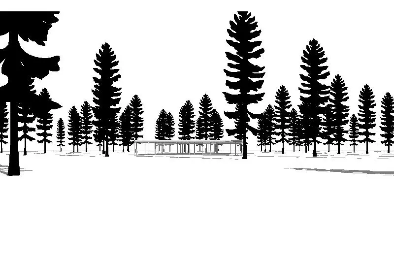 Red Spruce for Revit