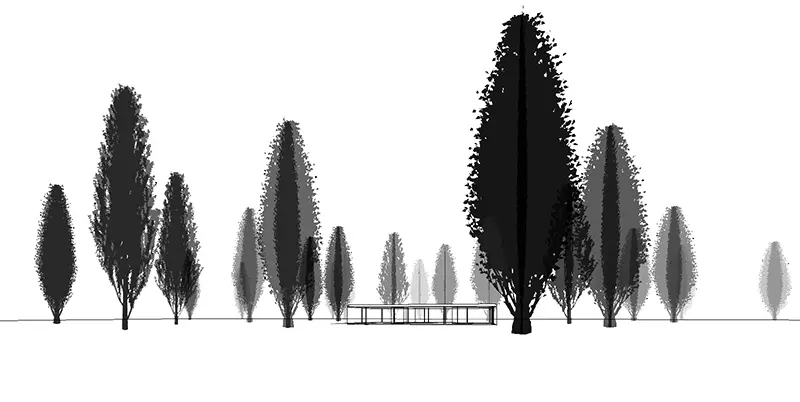 Complex depth effects are possible by overriding each tree or groups of trees.