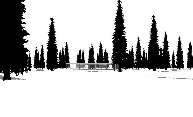 To create natural diversity, combine with other archigrafix trees.